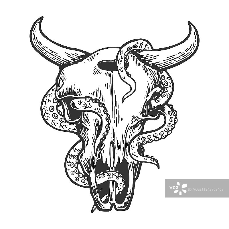 牛头骨中的章鱼图片素材