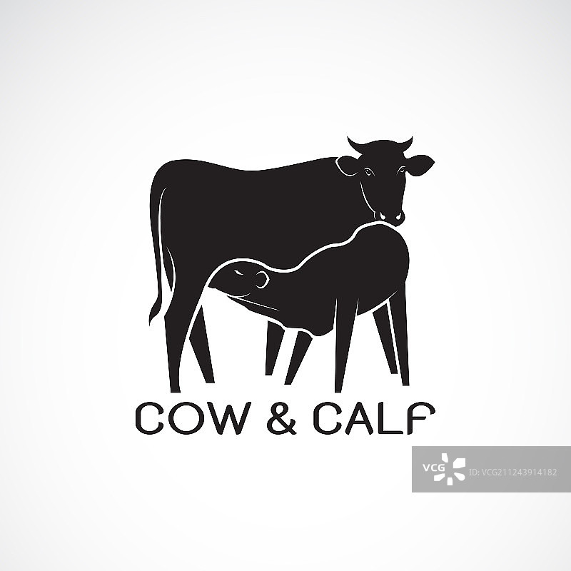白色背景上的奶牛与小牛，农场动物图片素材