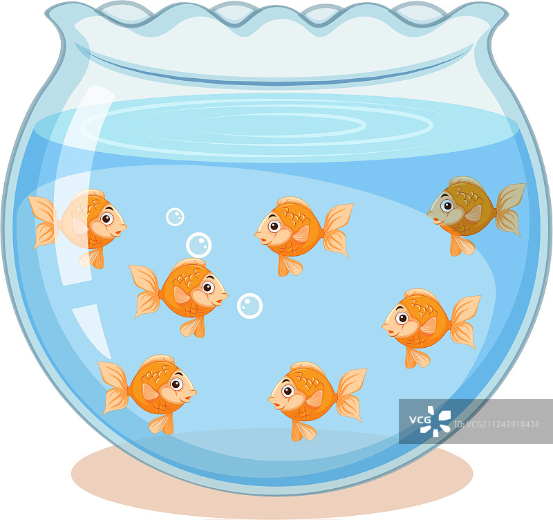 鱼缸里的金鱼图片素材