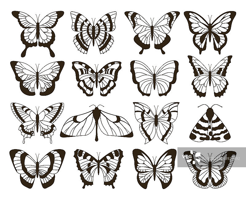 黑白蝴蝶素描图片素材