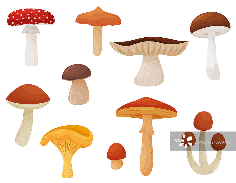 扁平风格可食用和有毒蘑菇图片素材