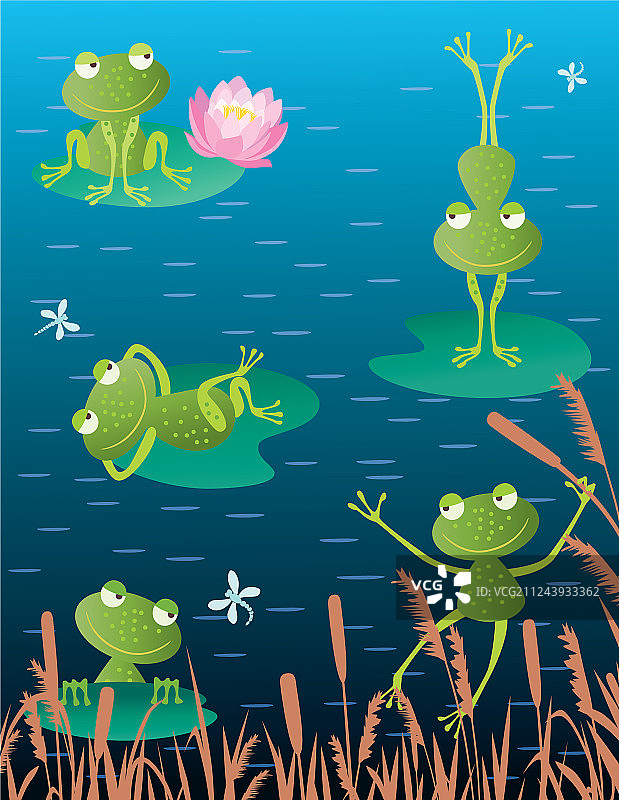 快乐的青蛙在湖面上图片素材