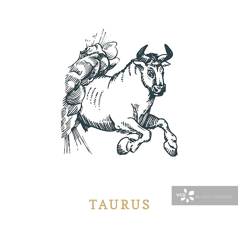 手工雕刻的金牛座星座符号图片素材