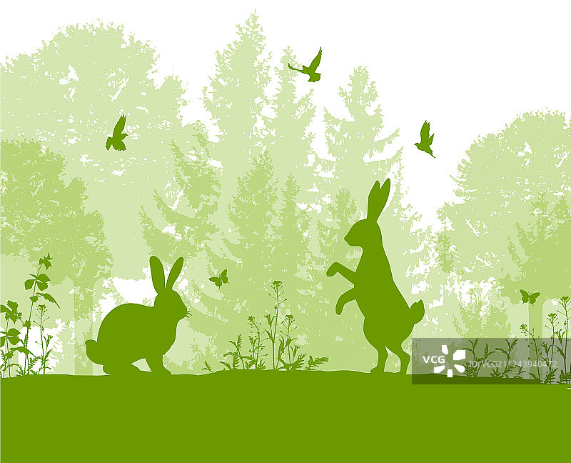 有兔子的绿色自然景观图片素材