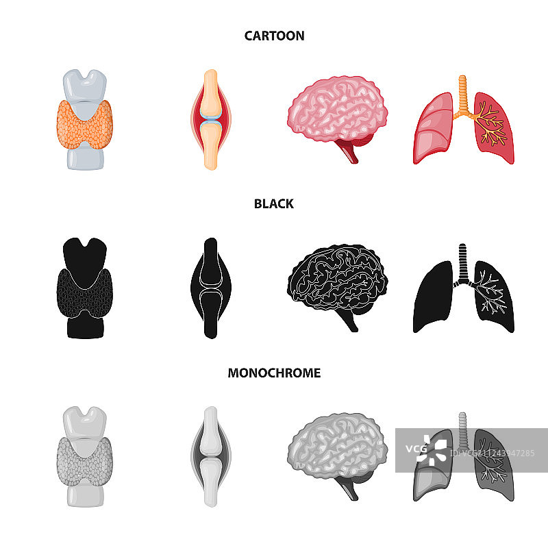生物科学图标图片素材