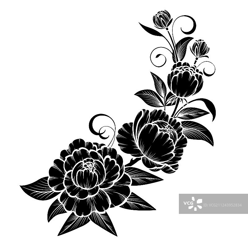 玫瑰花枝图片素材