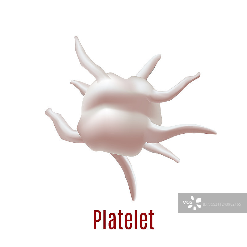 逼真风格的血小板细胞图片素材