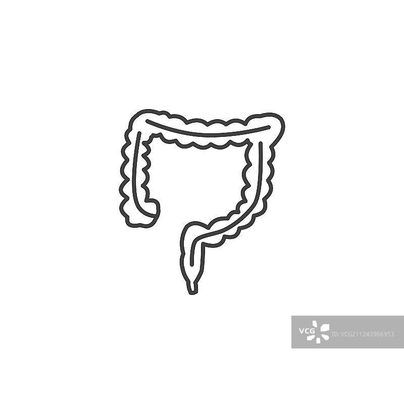 肠道线性图标图片素材