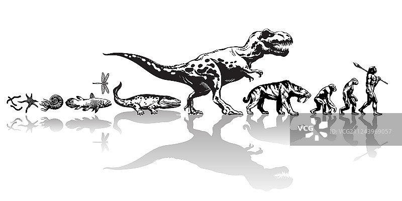 地球生命时间线演化历史图片素材