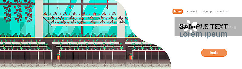 有机水培绿色植物栽培图片素材