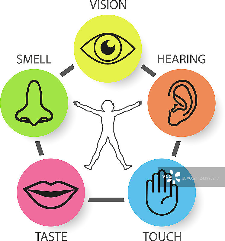 人类五种感官视觉嗅觉图标集图片素材