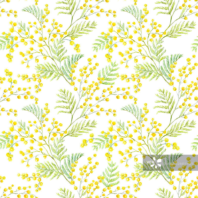 水彩含羞草图案图片素材