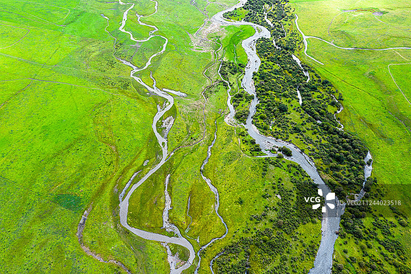 美丽的桑科草原图片素材