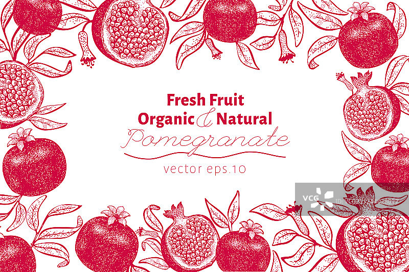 手绘石榴水果设计模板图片素材