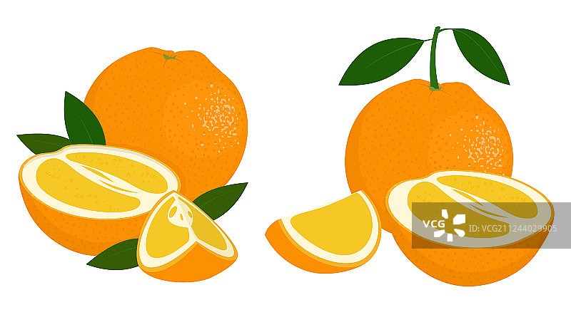 橙子切片图片素材