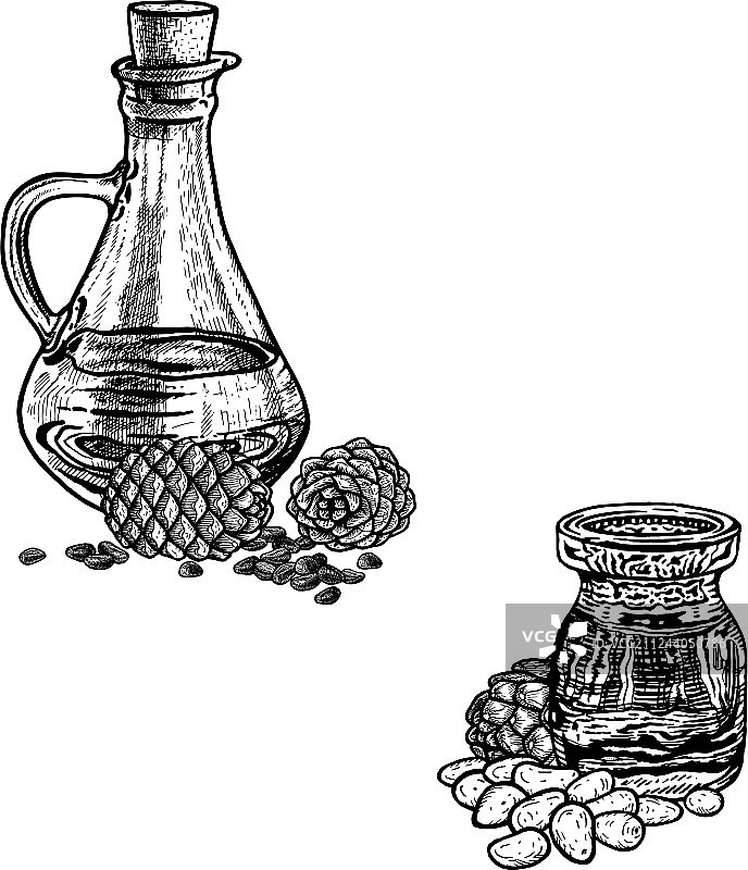 手绘松子油提取物图片素材