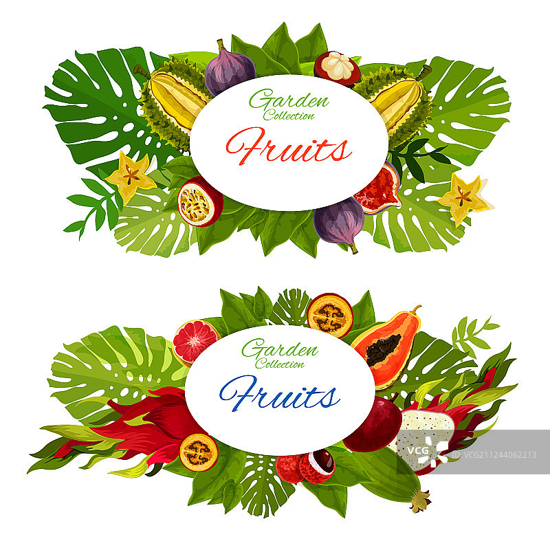 棕榈叶上的热带水果图片素材