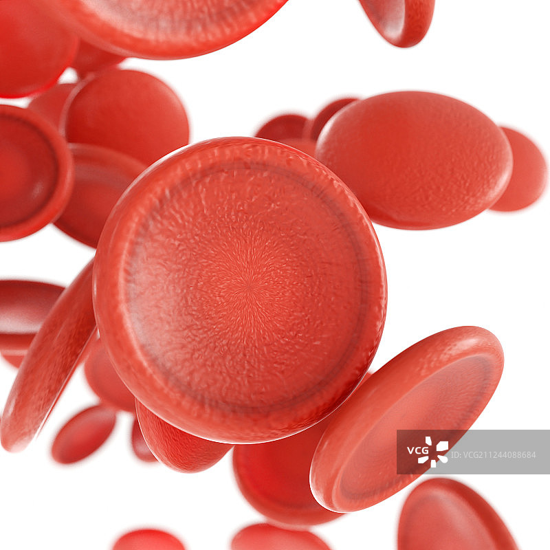 白底的三维血小板红细胞渲染素材图片素材