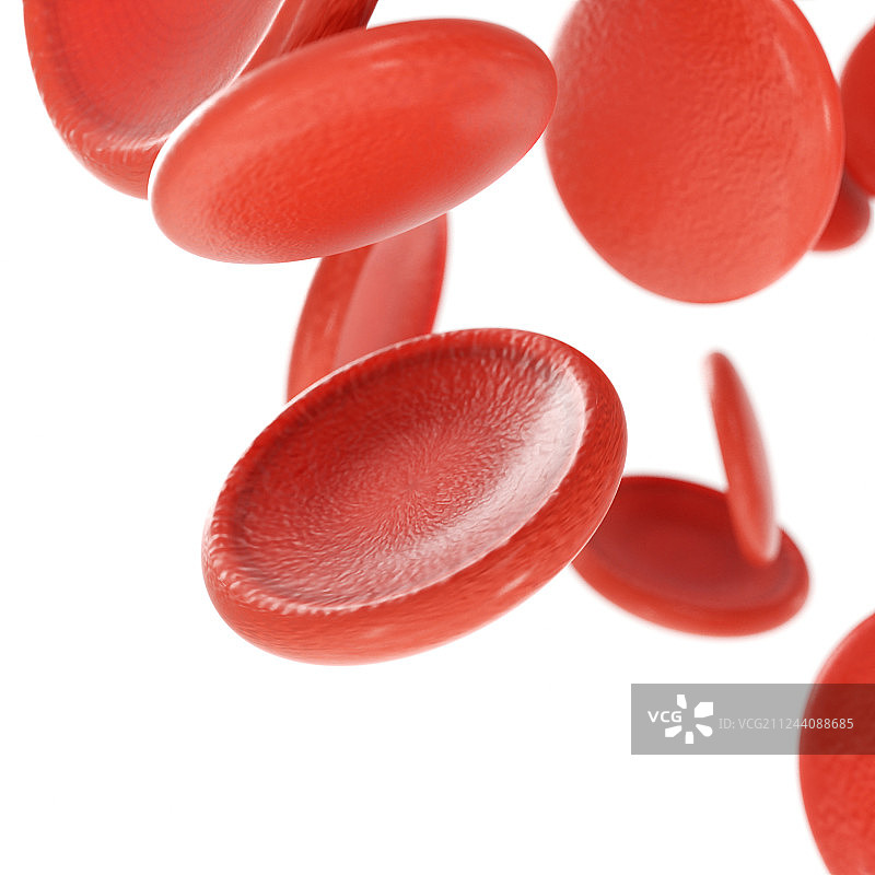 白底的三维血小板红细胞渲染素材图片素材