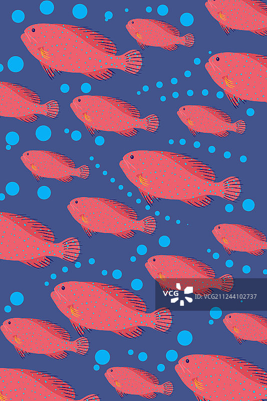 海底世界热带鱼1图片素材