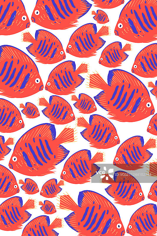 海底世界热带鱼15图片素材