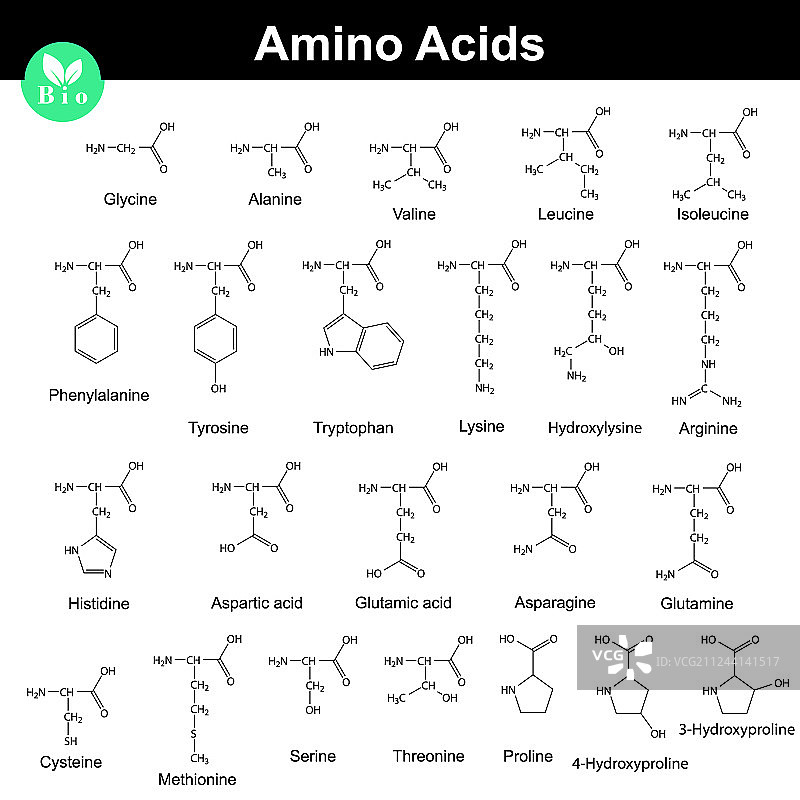 生物源氨基酸配方图片素材