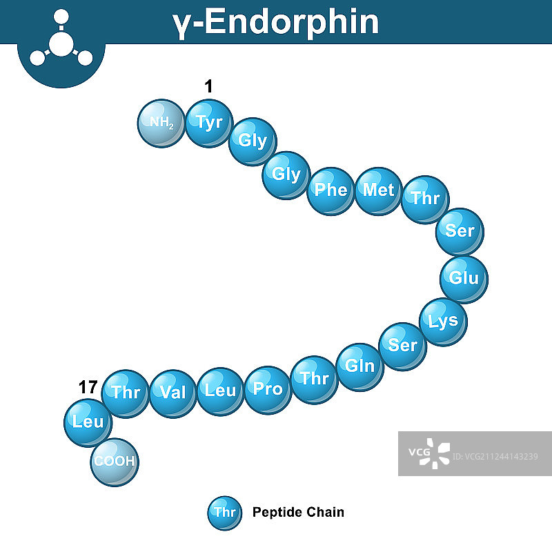 γ-内啡肽化学式图片素材