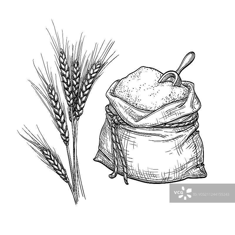 小麦和面粉袋图片素材