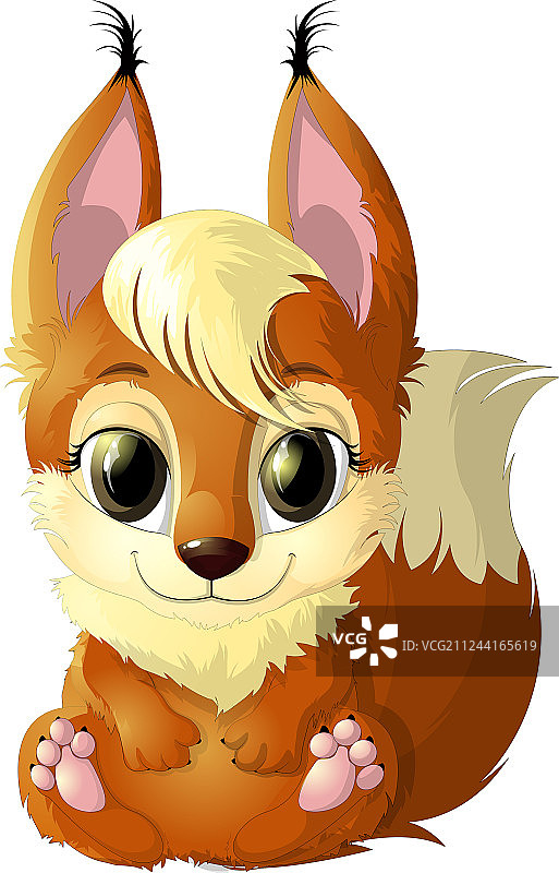 美丽的红松鼠图片素材