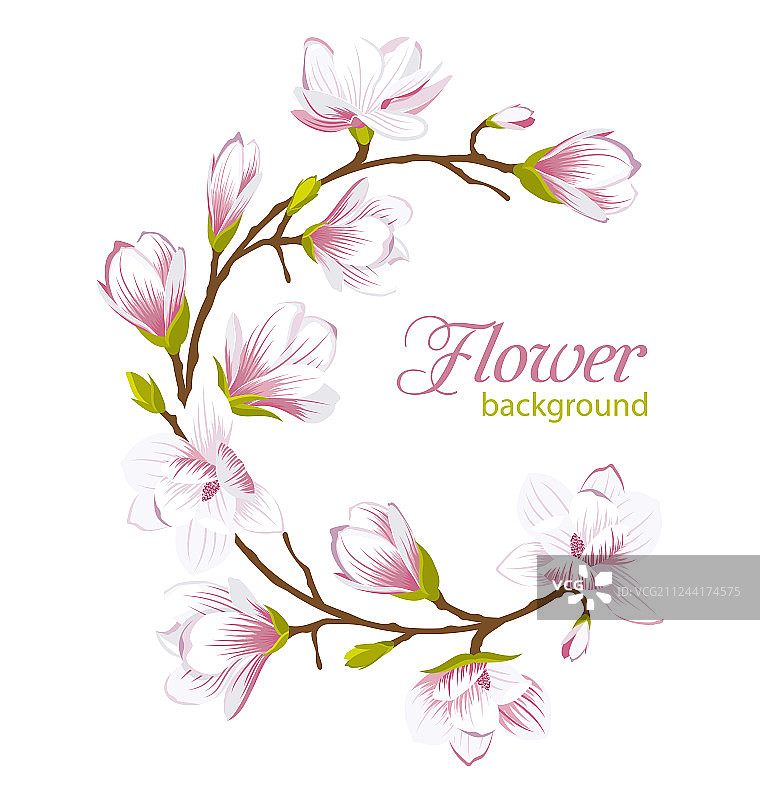 精美玉兰花圆形相框图片素材