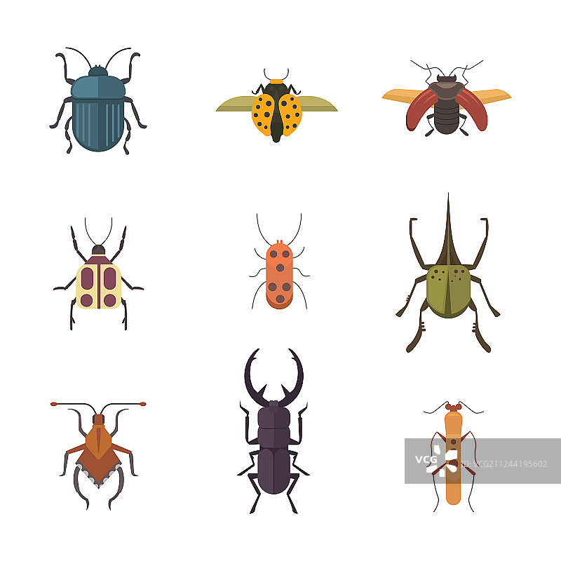 扁平风格昆虫设计图标合集图片素材