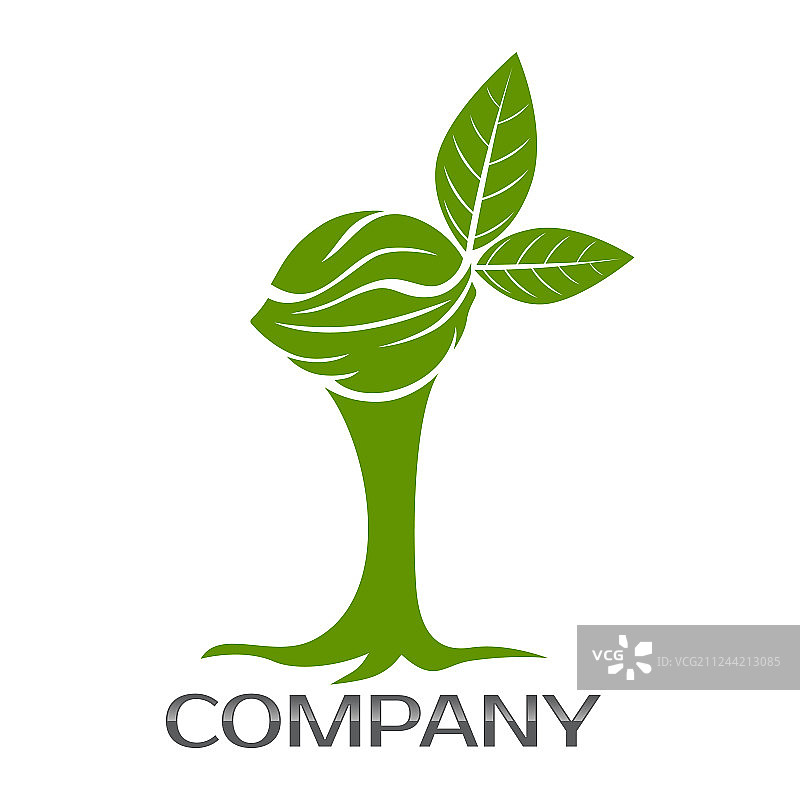 核桃树标志图片素材