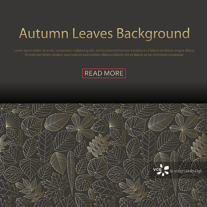 不同树叶背景图片素材