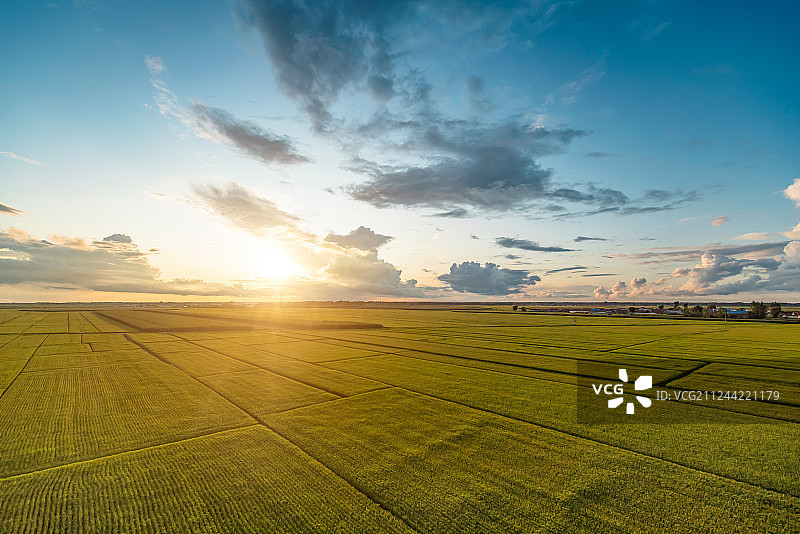 黑龙江稻田图片素材