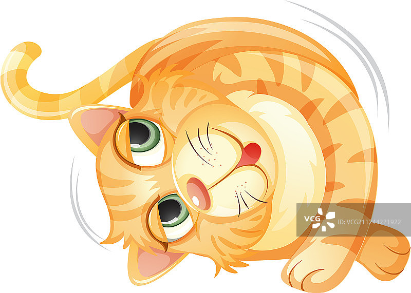 白色背景上的翻滚的猫图片素材
