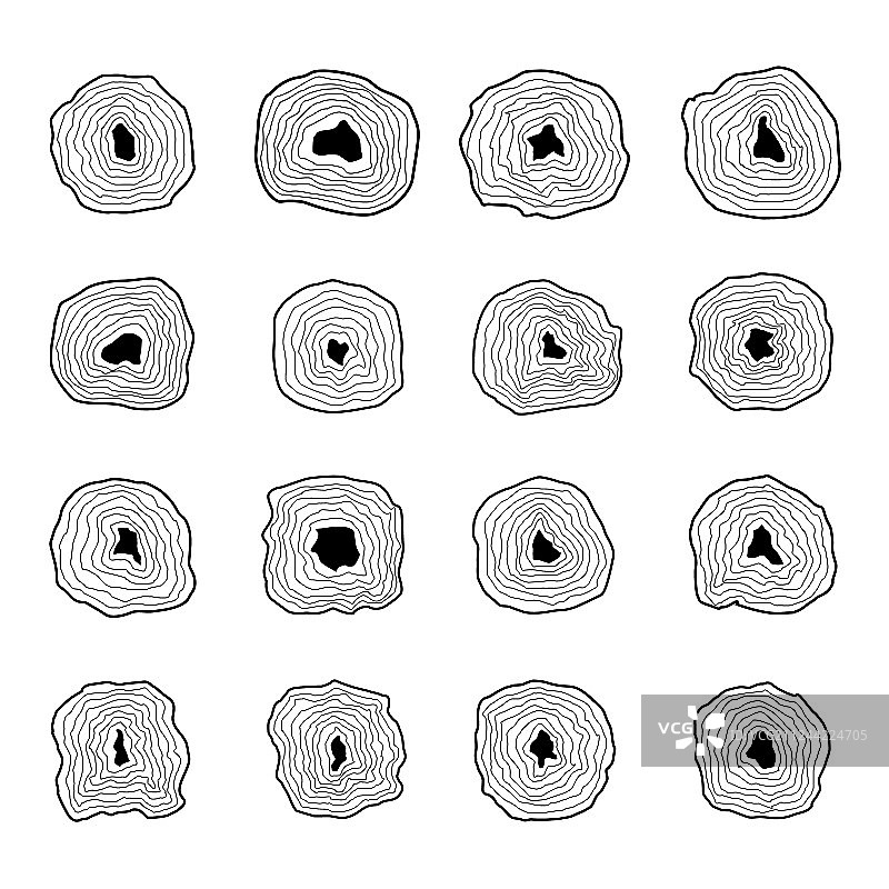 树木年轮合集图片素材