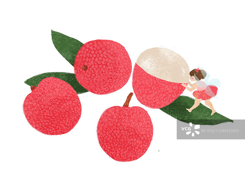 荔枝和小精灵图片素材