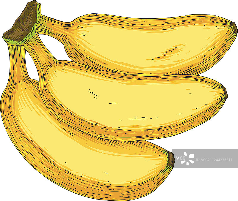 三个成熟的黄色香蕉图片素材