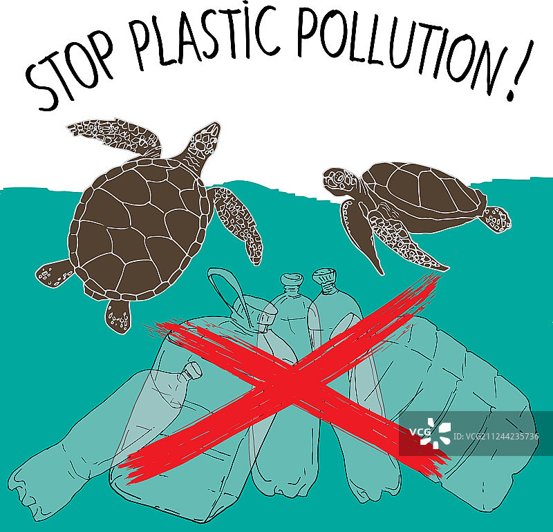 世界海龟日5月23日图片素材