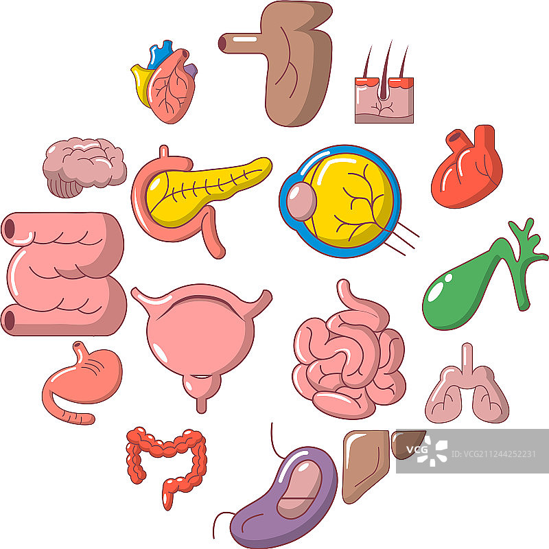 人体内脏器官卡通图标合集图片素材
