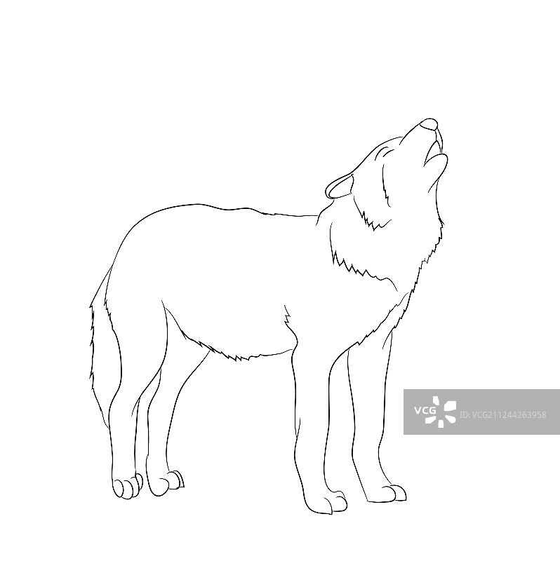狼嚎叫图像线条图片素材