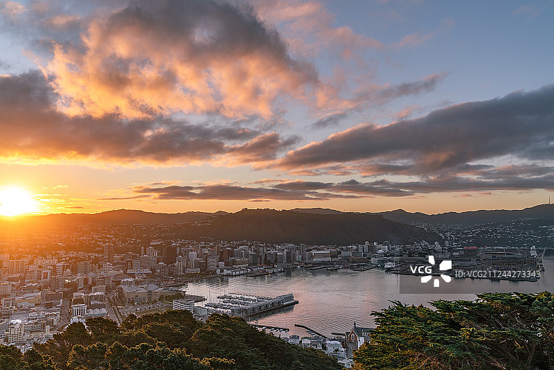 新西兰惠灵顿图片素材