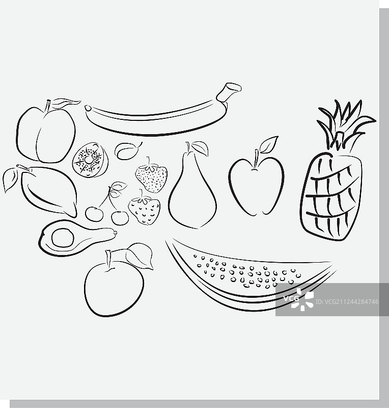 水果素描图片素材
