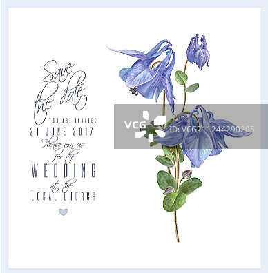 蓝色花朵卡片图片素材