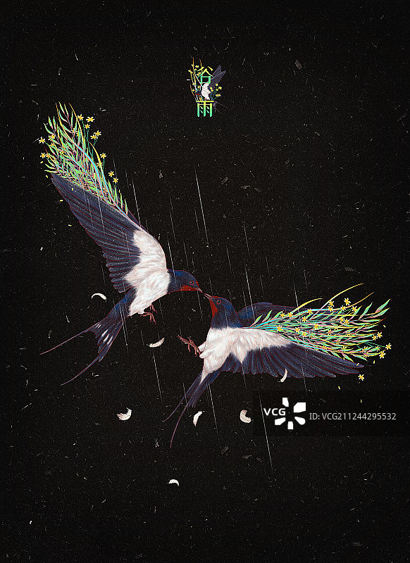 24节气谷雨-燕子图片素材