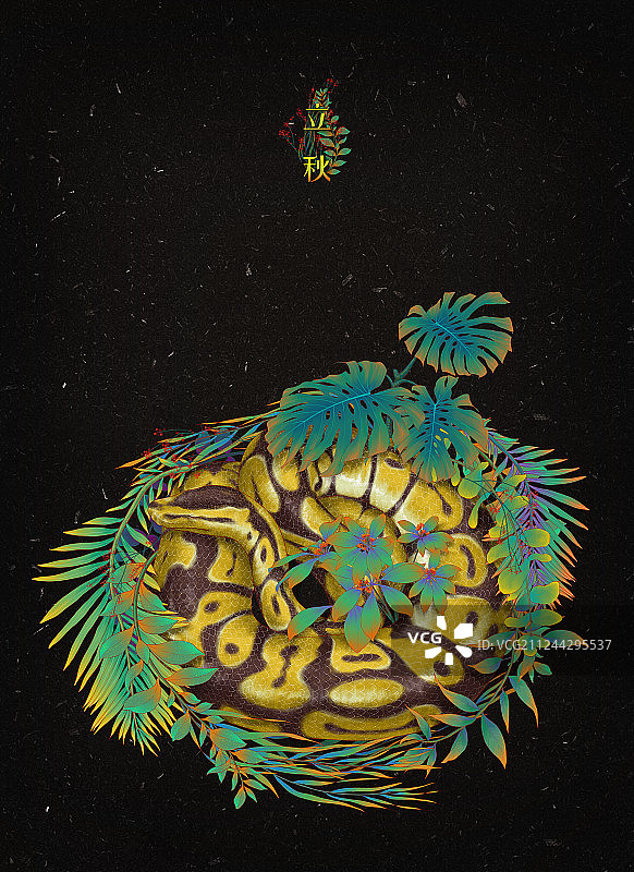 24节气立秋-蛇图片素材