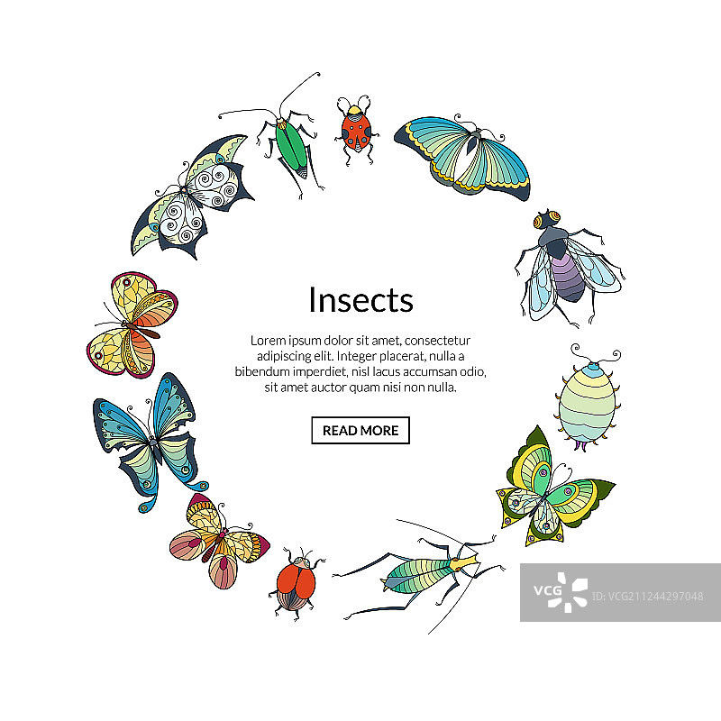 圆形手绘昆虫图案图片素材