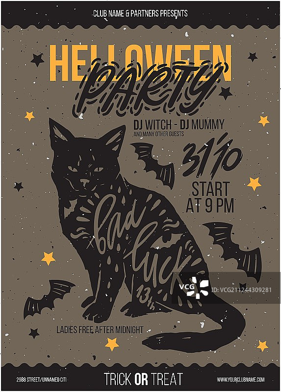 带有排版的黑猫图片素材