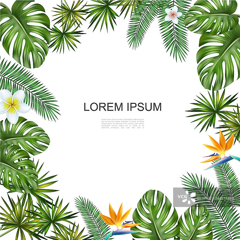 逼真热带花卉概念图片素材