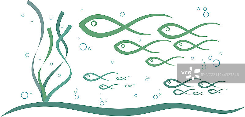 鱼群海景风光图片素材